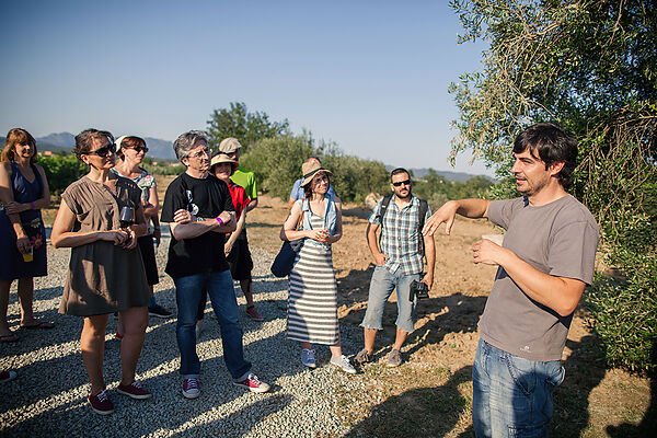 Wine tours and Medieval villages from Girona