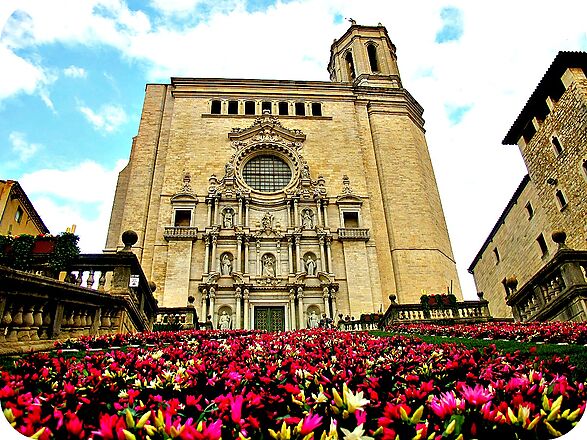 Comparte Girona Temps de Flors con nosotros.