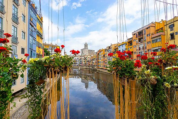 Comparte Girona Temps de Flors con nosotros.